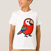 Chubby Green-winged Macaw
