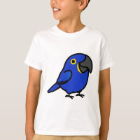 Chubby Hyacinth Macaw