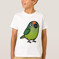 Chubby Peach-fronted Conure
