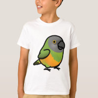 Chubby Senegal Parrot