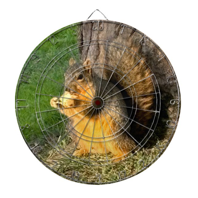 Chubby Squirrel, Dartboard (Front)