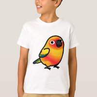 Chubby Sun Conure