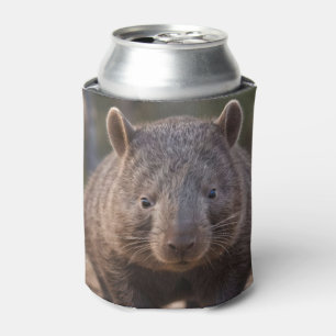 Chubby The Australian Wombat, Can Cooler
