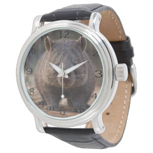 Chubby The Australian Wombat, Watch