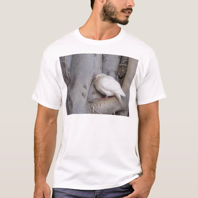Chubby white dove in tree T-Shirt (Front)