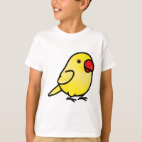 Chubby Yellow Lutino Indian Ringneck Parakeet - Fe