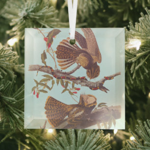 Chuck Will's Widow Nightjar with Coral Snake Glass Tree Decoration