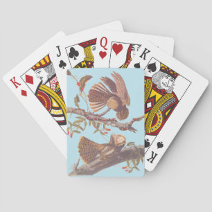 Chuck Will's Widow Nightjar with Coral Snake Playing Cards