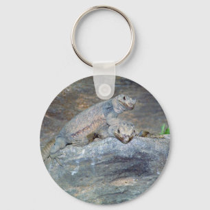Chuckwalla Head Stand Keychain