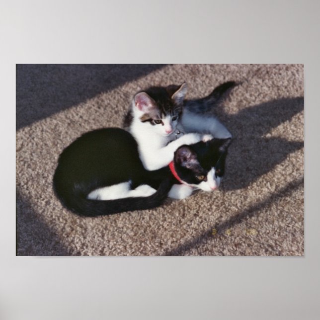 Chuda & Sami Poster (Front)