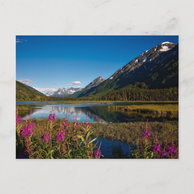 Chugach National Park in Alaska Mountain Lake  Postcard (Front)