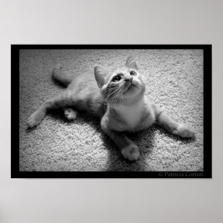 Chugar in Kittenhood Poster