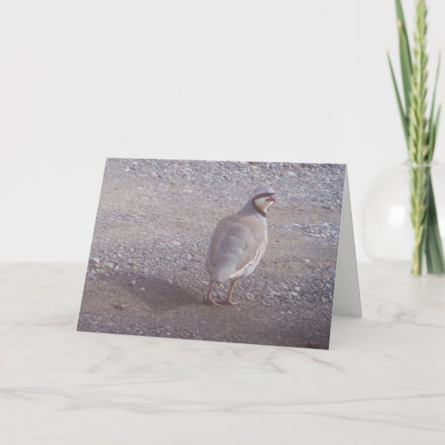 Chukar Christmas Card (Front)