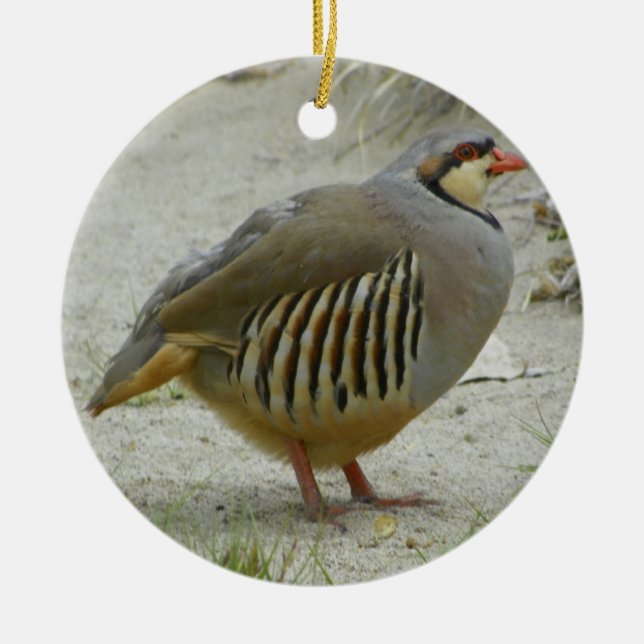 Chukar Partridge Ceramic Tree Decoration (Front)