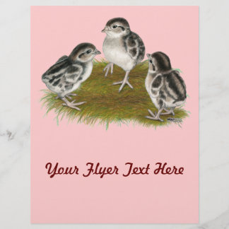 Chukar Partridge Chicks Flyer