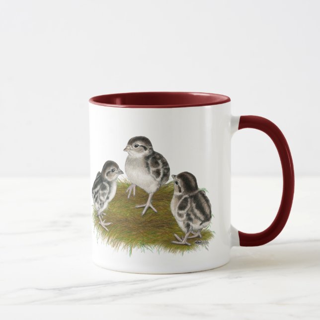 Chukar Partridge Chicks Mug (Right)