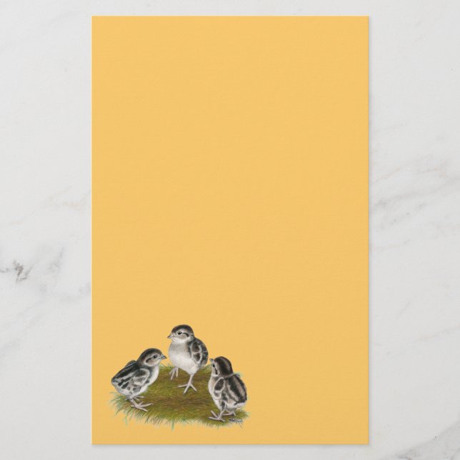 Chukar Partridge Chicks Stationery (Front)