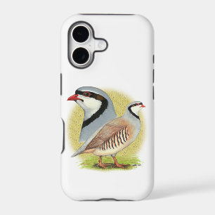 Chukar Partridge Combo