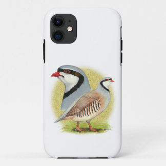 Chukar Partridge Combo Case-Mate iPhone Case