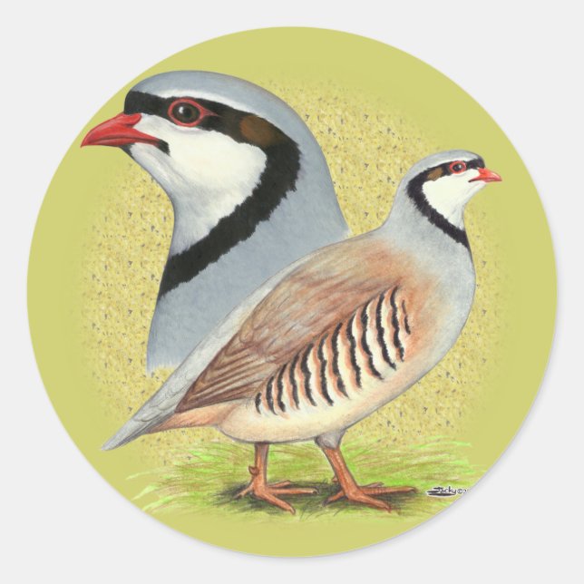 Chukar Partridge Combo Classic Round Sticker (Front)