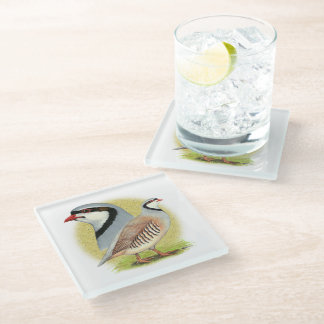 Chukar Partridge Combo Glass Coaster