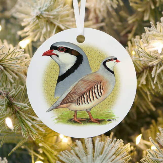 Chukar Partridge Combo Metal Tree Decoration (Insitu)