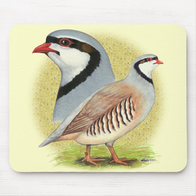 Chukar Partridge Combo Mouse Pad (Front)