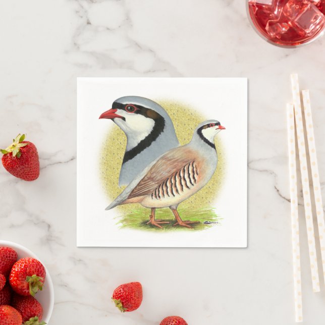 Chukar Partridge Combo Napkin (Insitu)