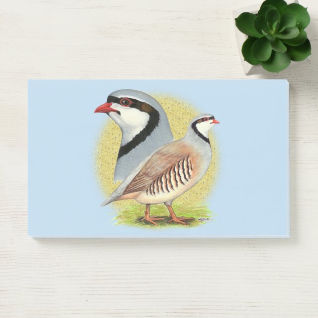 Chukar Partridge Combo Post-it Notes (Office)