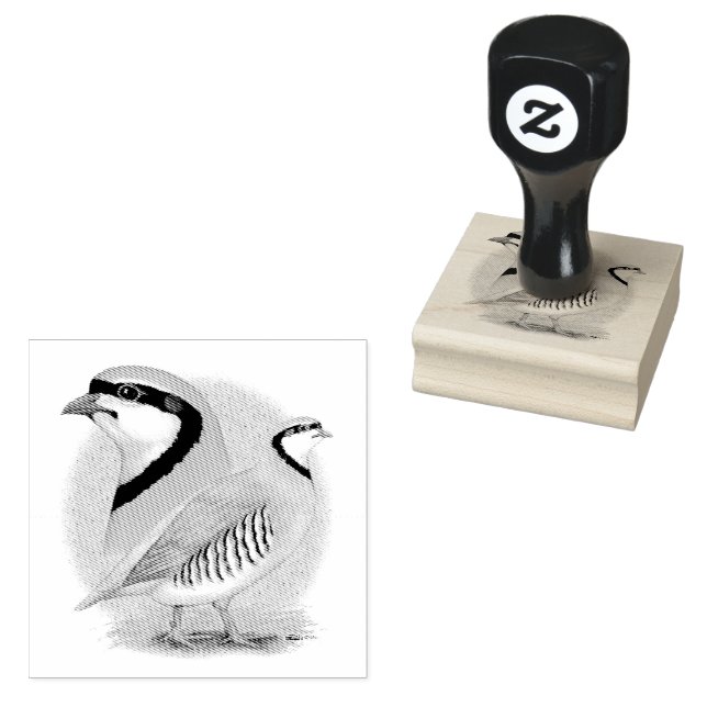 Chukar Partridge Combo Rubber Stamp (Stamped)