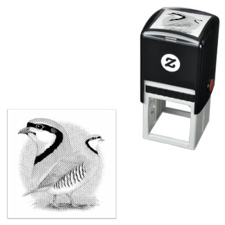 Chukar Partridge Combo Self-inking Stamp