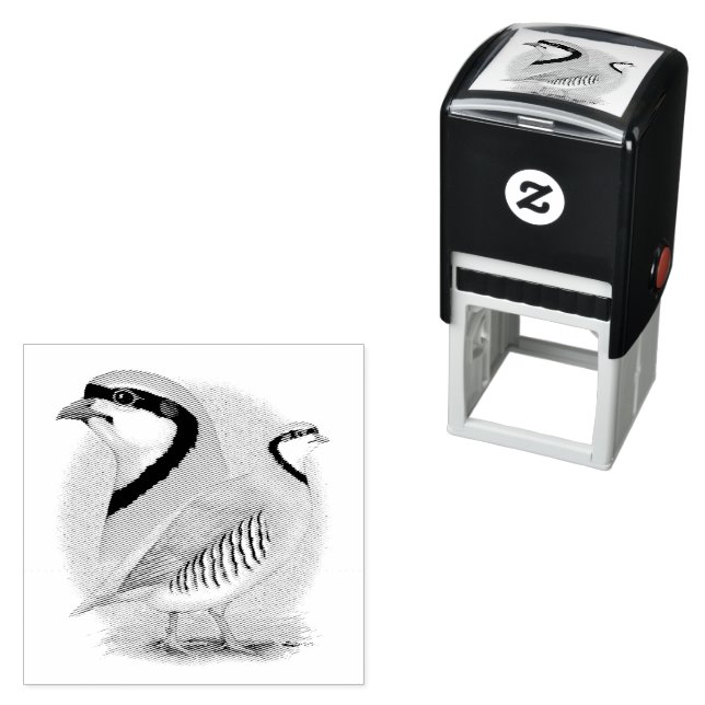 Chukar Partridge Combo Self-inking Stamp (In Situ)