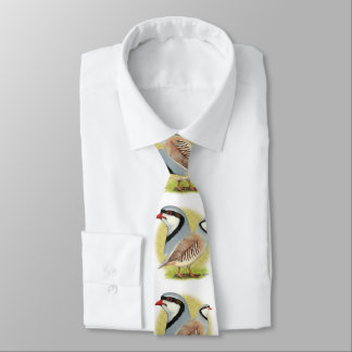 Chukar Partridge Combo Tie