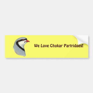 Chukar: Partridge Head Bumper Sticker