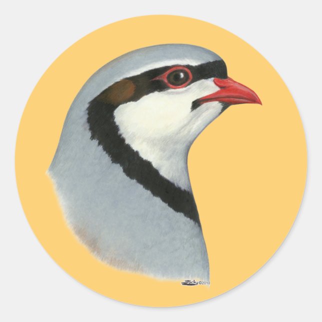Chukar:  Partridge Head Classic Round Sticker (Front)
