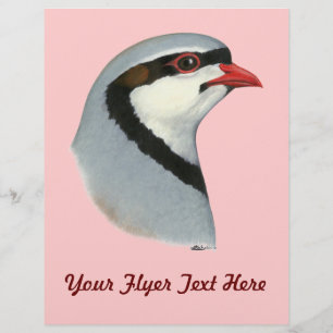 Chukar:  Partridge Head Flyer