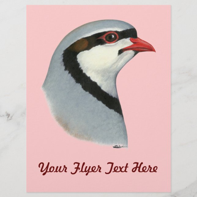 Chukar:  Partridge Head Flyer (Front)