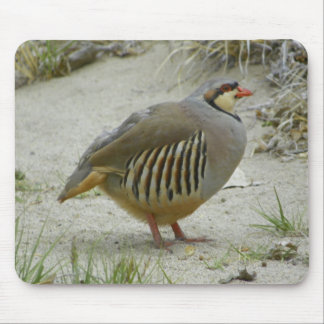 Chukar Partridge Mouse Pad