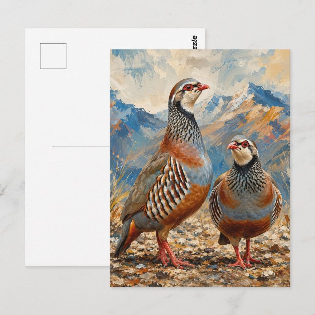 Chukar Partridge Pair Art  Postcard (Front/Back)