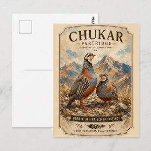 Chukar Partridge Pair Art Postcard
