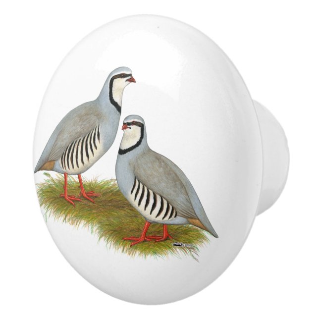Chukar Partridge Pair Ceramic Knob (Right)