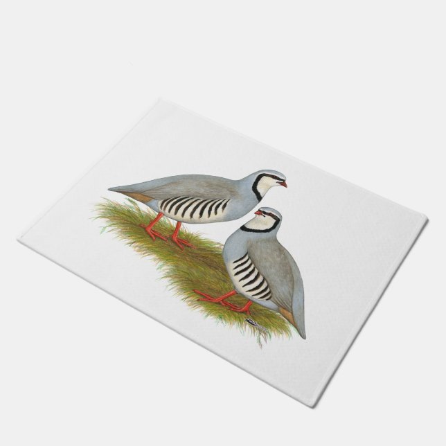 Chukar Partridge Pair Doormat (Angled)