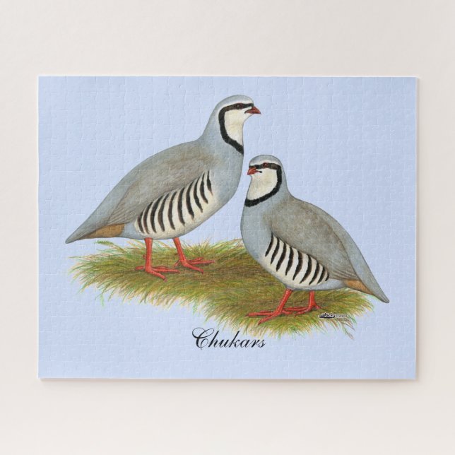 Chukar Partridge Pair Jigsaw Puzzle (Horizontal)
