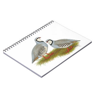 Chukar Partridge Pair Notebook
