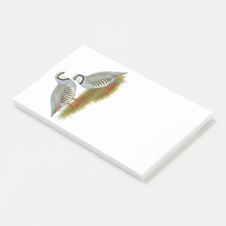 Chukar Partridge Pair Post-it Notes