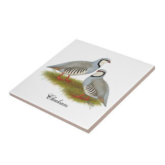 Chukar Partridge Pair Tile