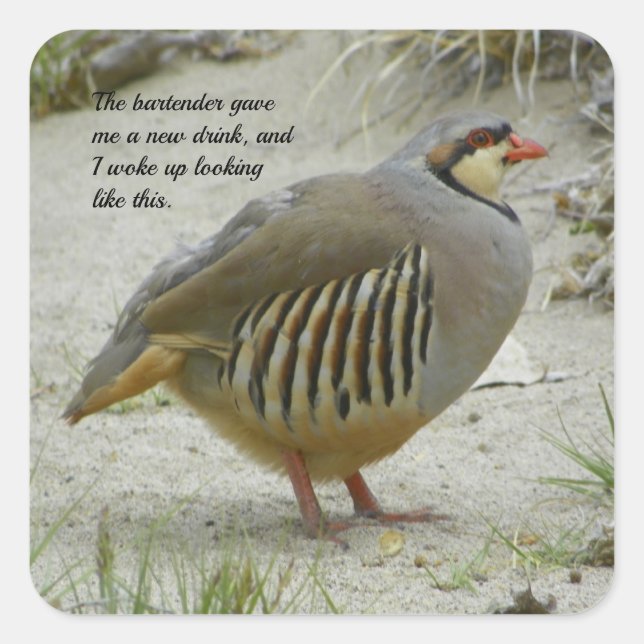 Chukar Partridge Square Sticker (Front)