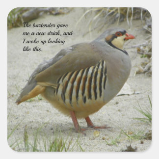 Chukar Partridge Square Sticker
