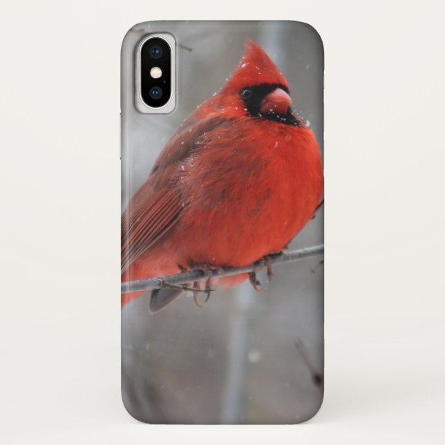 Chunky Bright Red Male Cardinal in Winter Snow Case-Mate iPhone Case (Back)