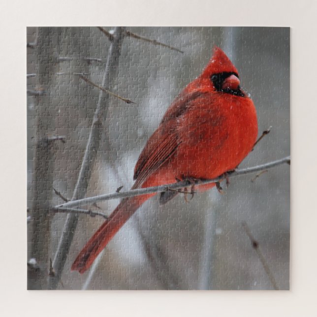 Chunky Bright Red Male Cardinal in Winter Snow Jigsaw Puzzle (Vertical)